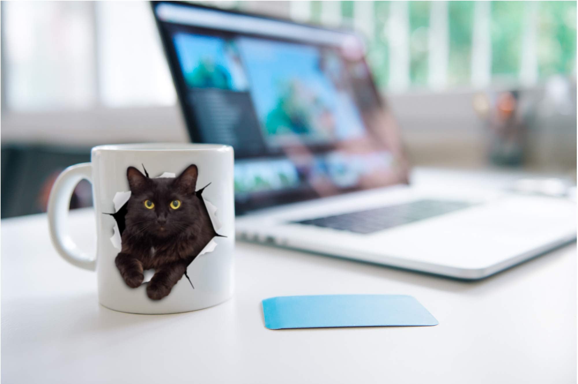 Winston & Bear black cat mug in an office break room setting