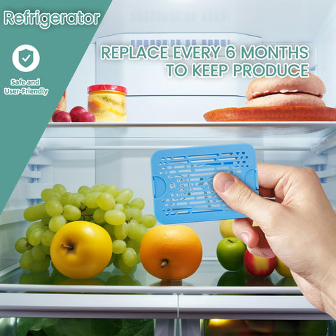 Wisesorb 20-pack shown with kitchen produce for longer freshness.