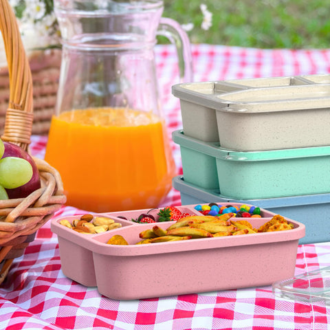 XGXN Bento Box four-pack color options offer convenient meal solutions for families.