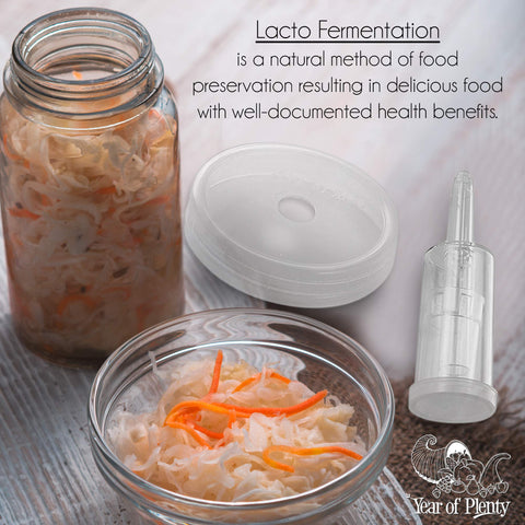 Year of Plenty airlock lids protect ferments while venting gas