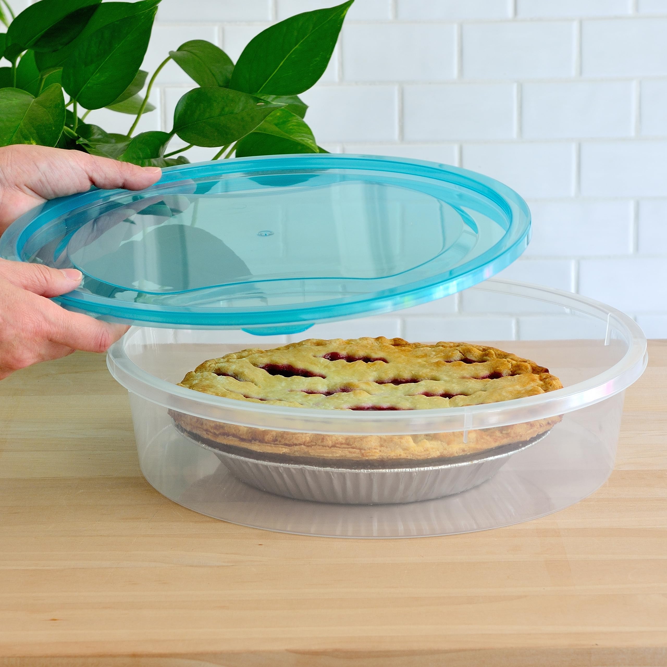 Youngever 11-inch pie container protects desserts while keeping portions handy.