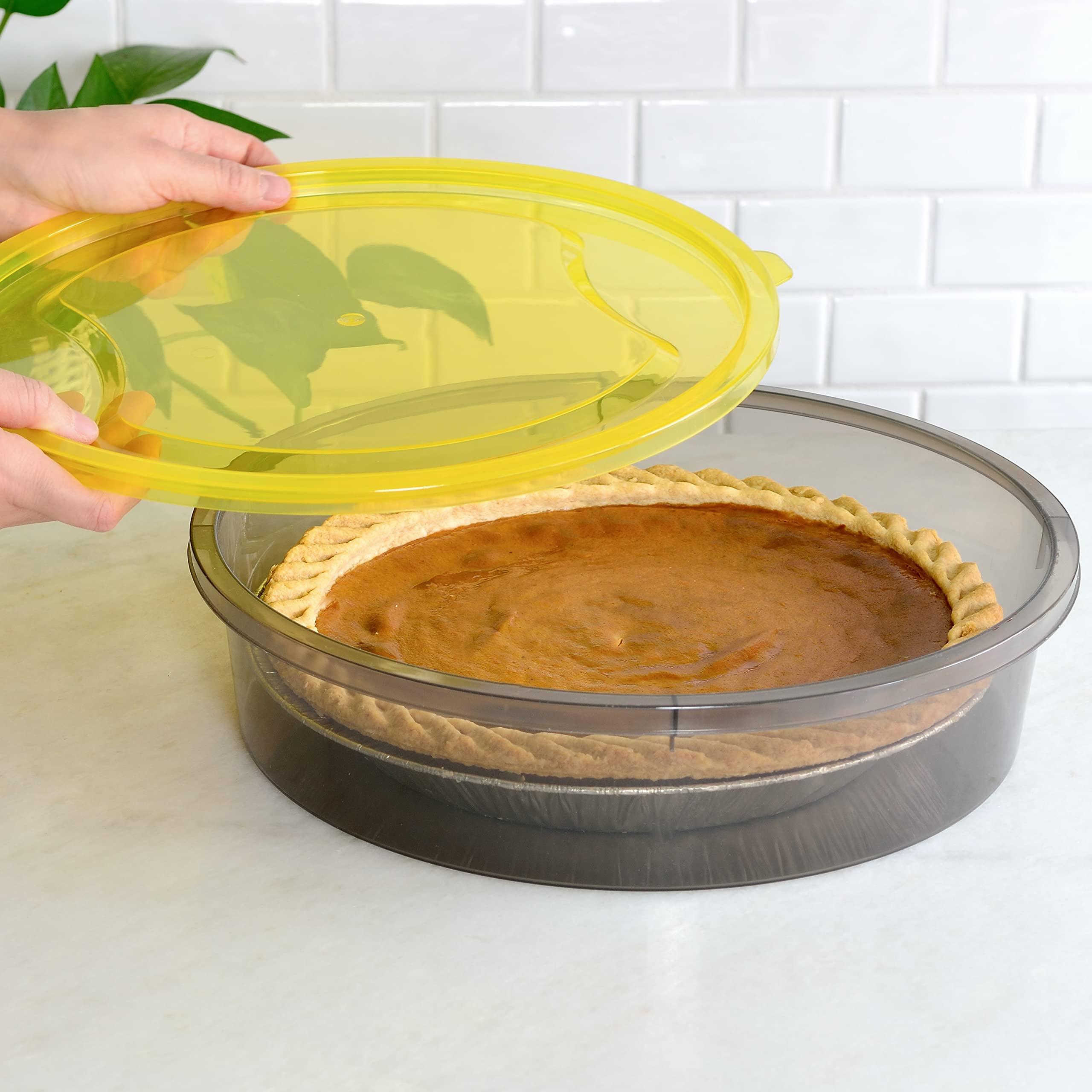 Youngever tight-lid pie containers help keep contents secure during travel.