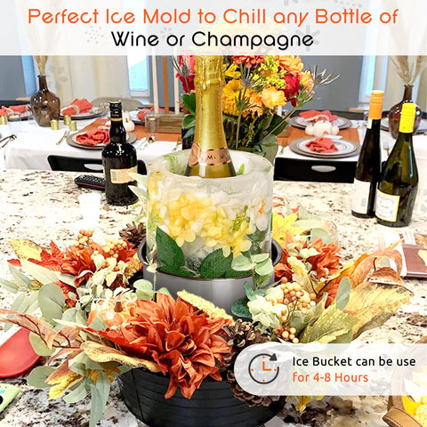 YOWINT champagne bottle in ice mold for a stylish display.