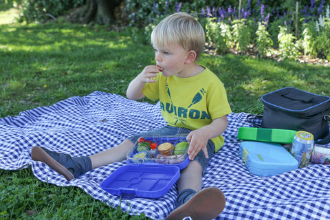 Yumbox Original Surf Blue Rocket design adds color to lunches.