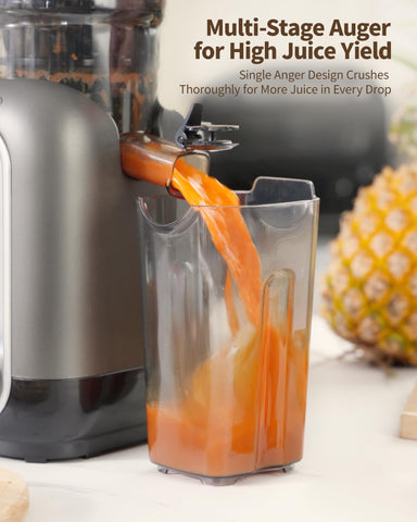 ZACHVO MP-802M compact, low-noise design fits kitchen counters.
