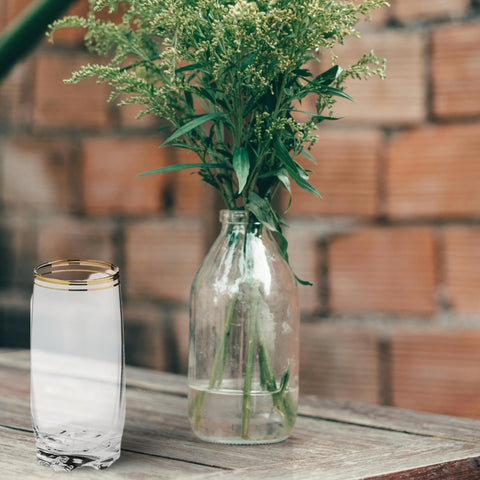 Zanzer durable glassware highlights sturdy construction for everyday use