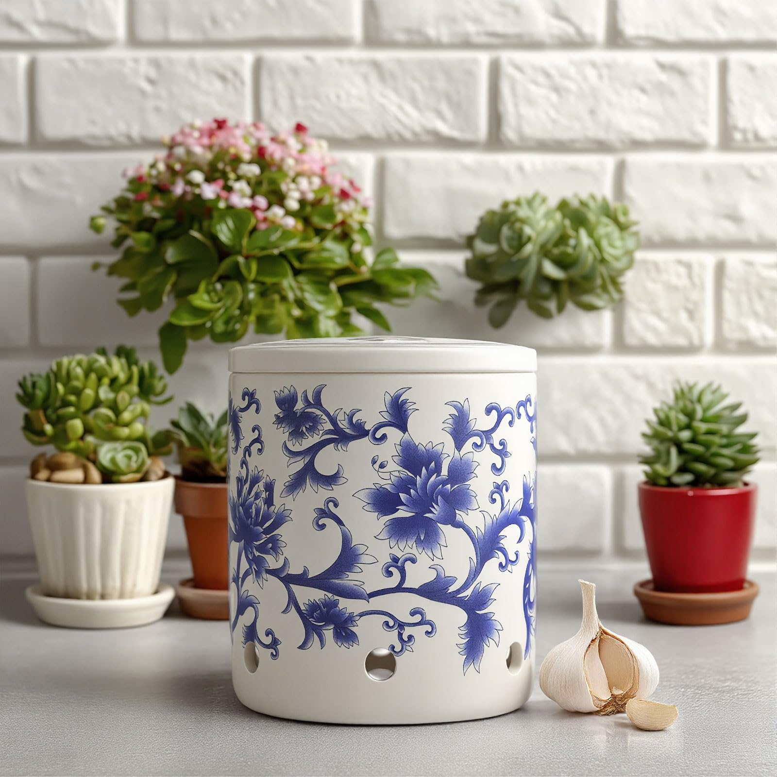 ZENWUKONG garlic storage on countertop blends with decor while protecting aroma.