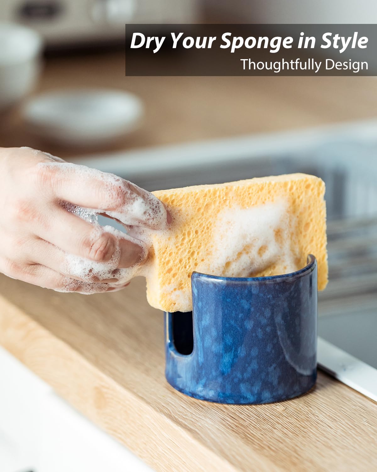 Zoeeker blue ceramic caddy keeps kitchen essentials dry and tidy.