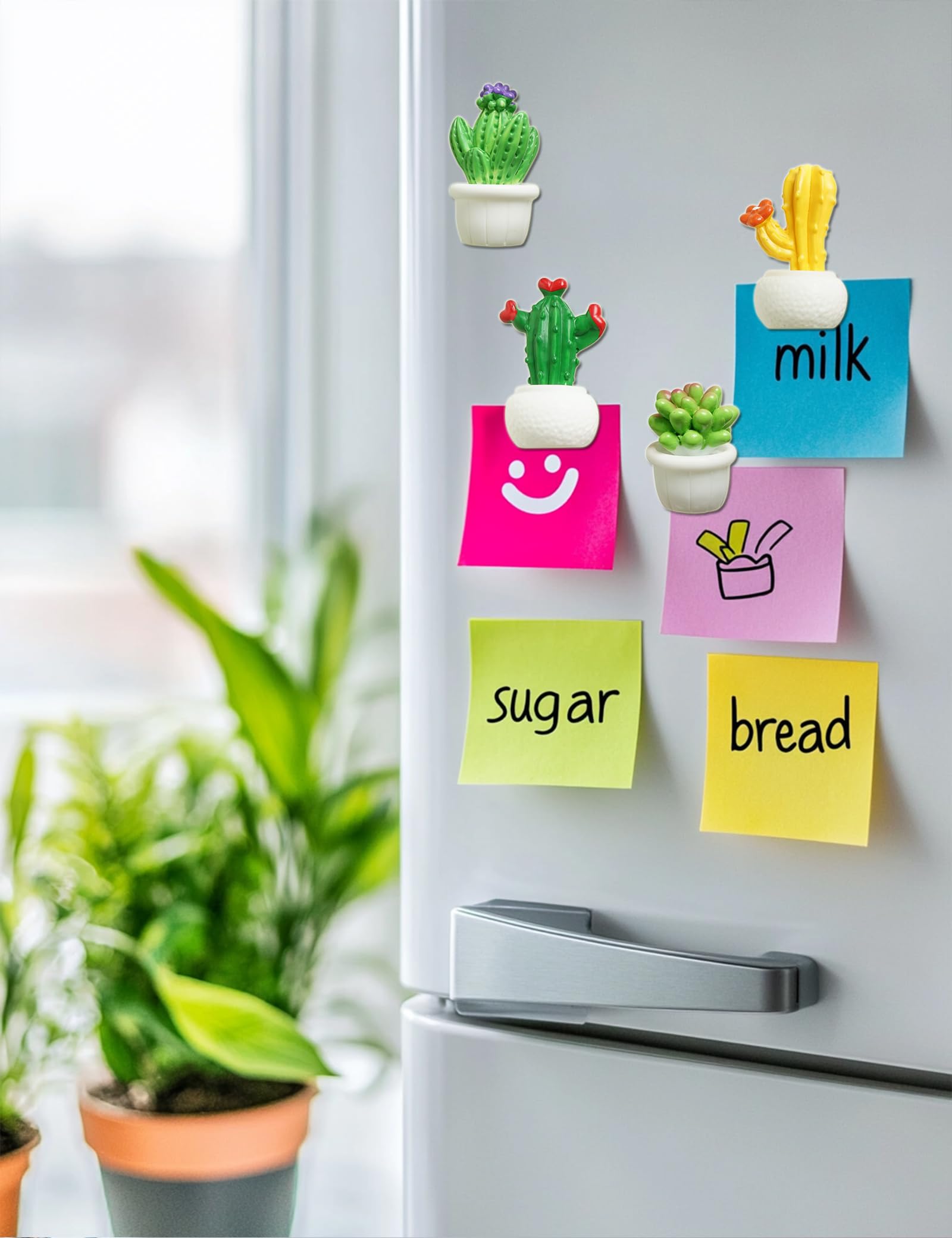Zreal 8-pack cactus magnets brings colorful organization to any metal surface.