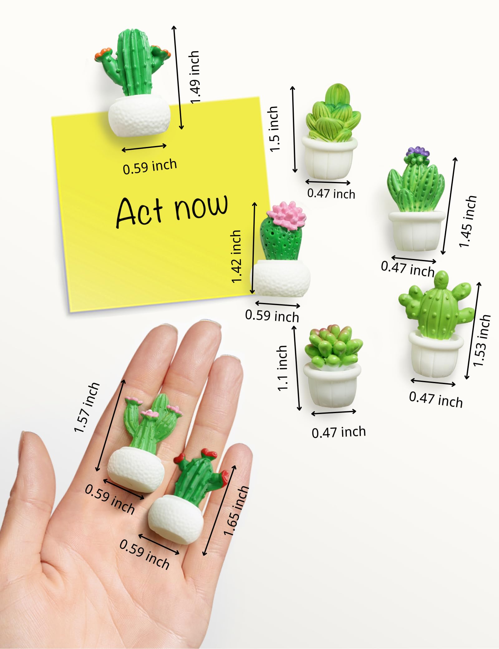 Zreal cactus magnets in varied sizes securely hold photos without covering them.
